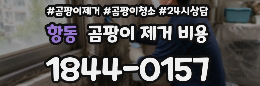 항동 곰팡이 제거 비용