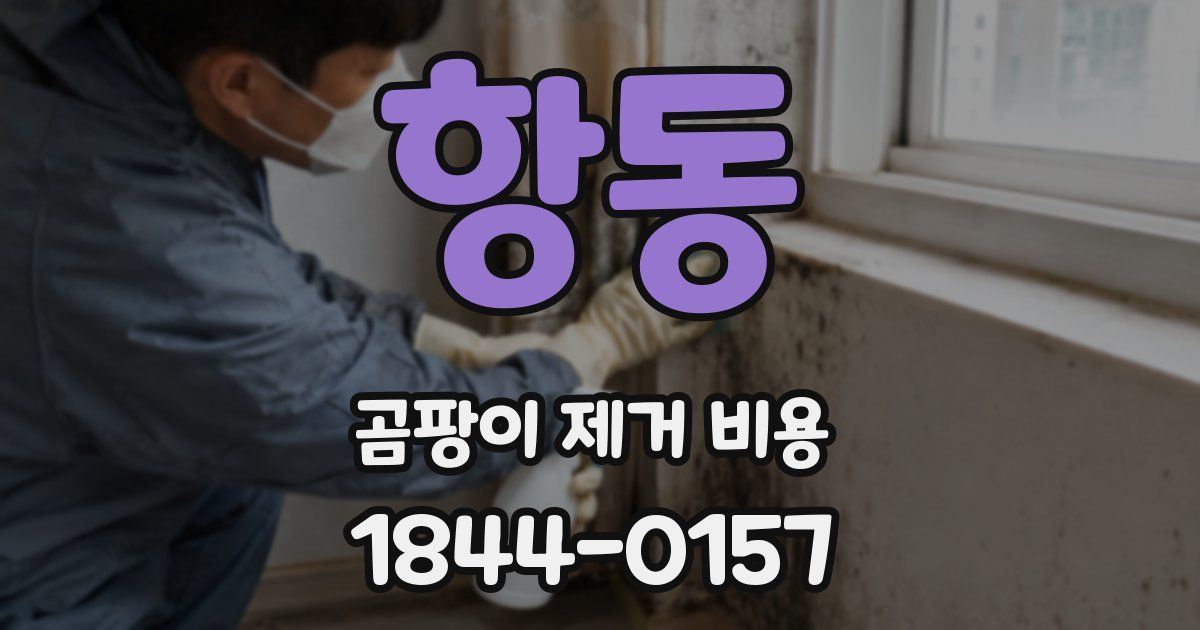 항동 곰팡이 제거 비용