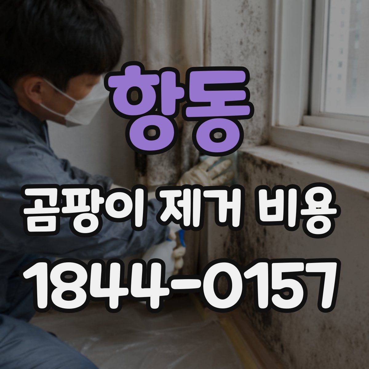 항동 곰팡이 제거 비용