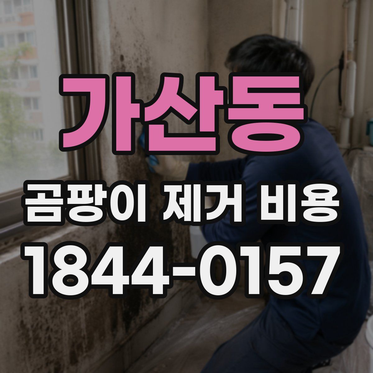 가산동 곰팡이 제거 비용