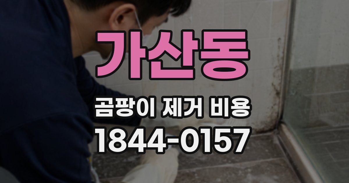 가산동 곰팡이 제거 비용