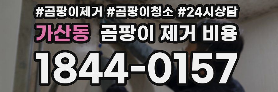 가산동 곰팡이 제거 비용