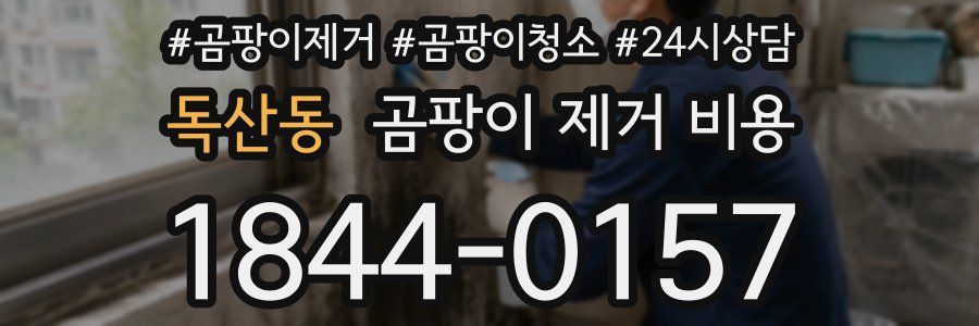 독산동 곰팡이 제거 비용