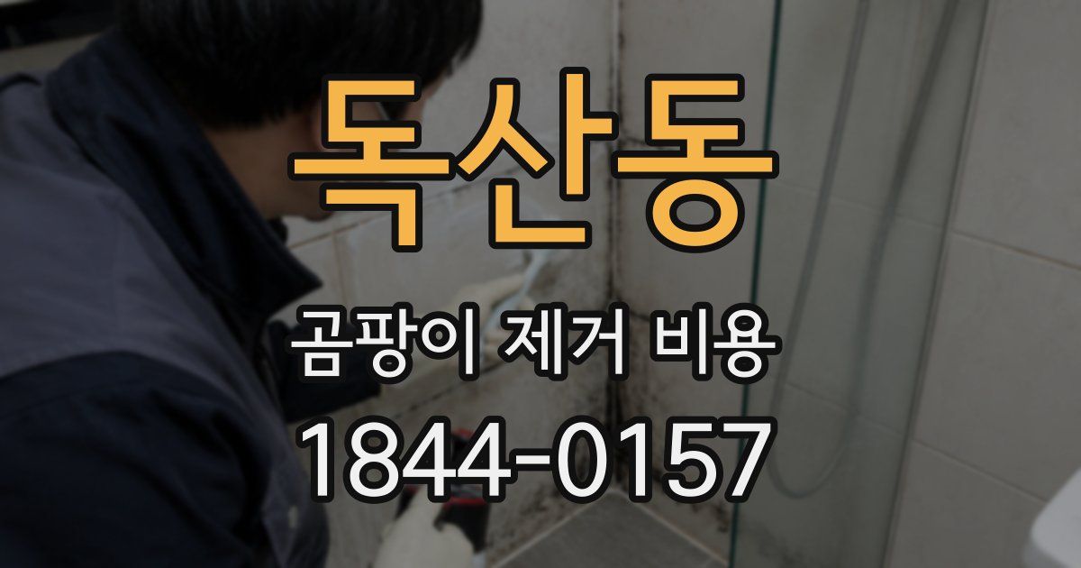 독산동 곰팡이 제거 비용