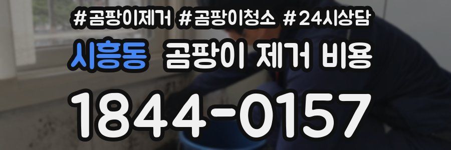 시흥동 곰팡이 제거 비용