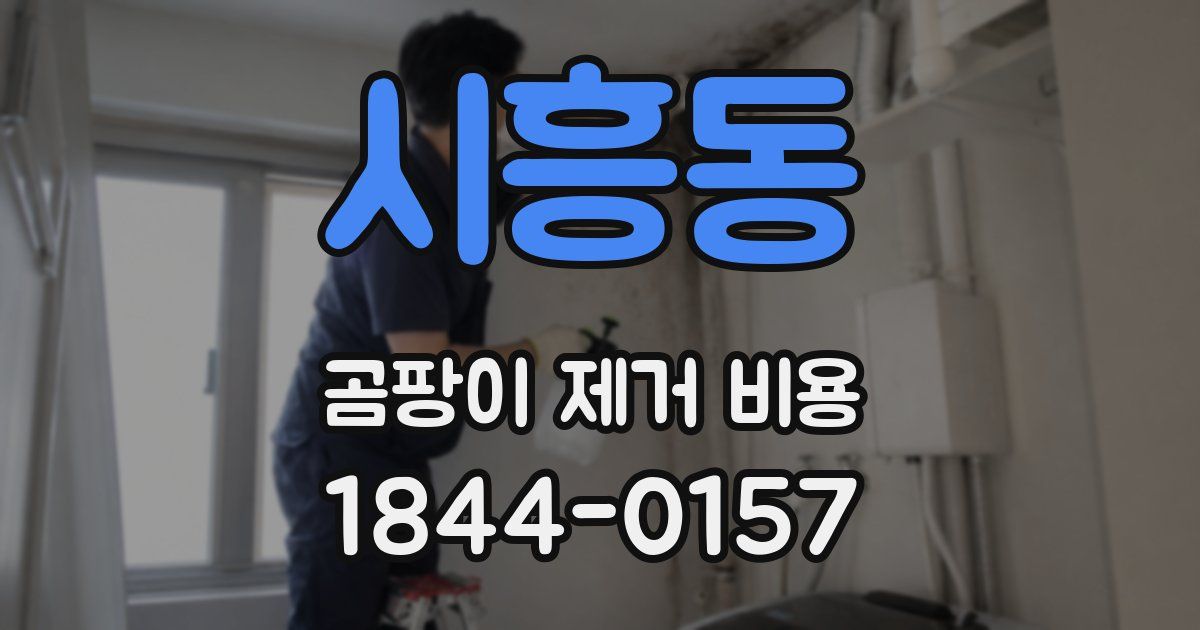 시흥동 곰팡이 제거 비용