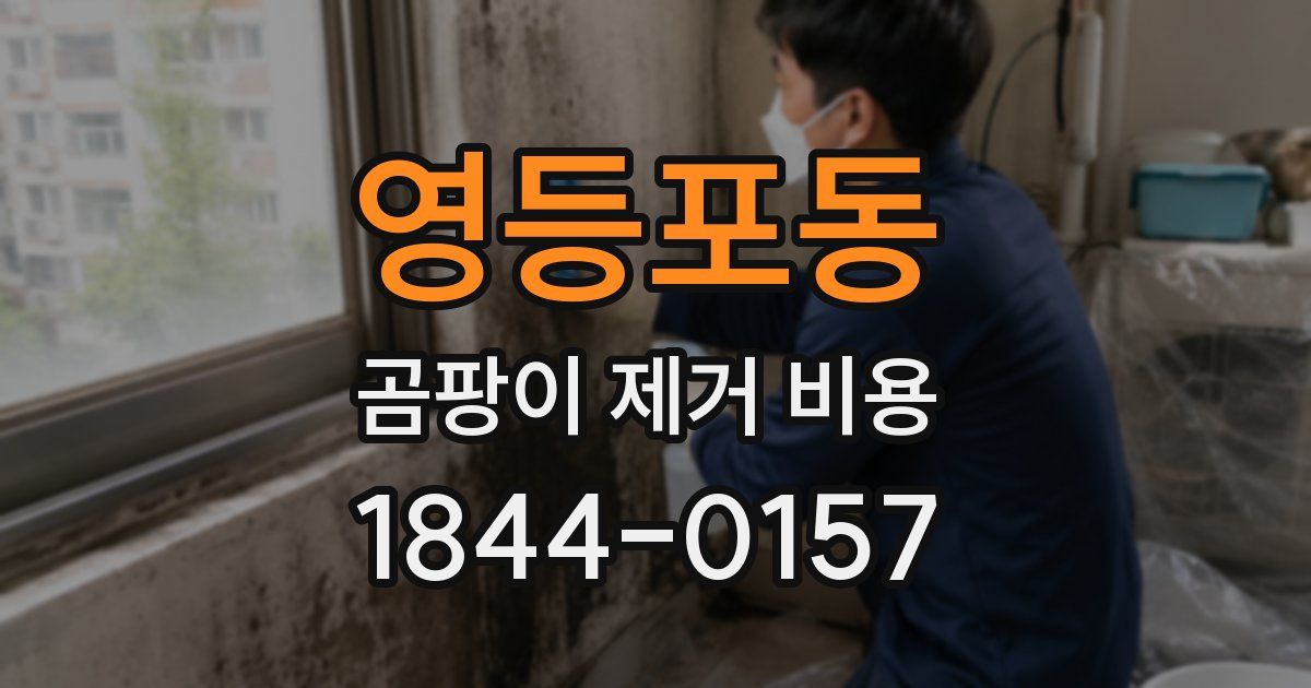 영등포동 곰팡이 제거 비용