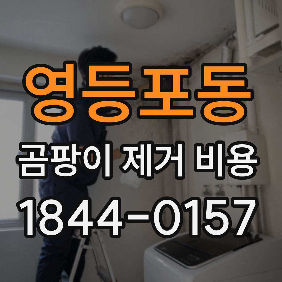영등포동 곰팡이 제거 비용