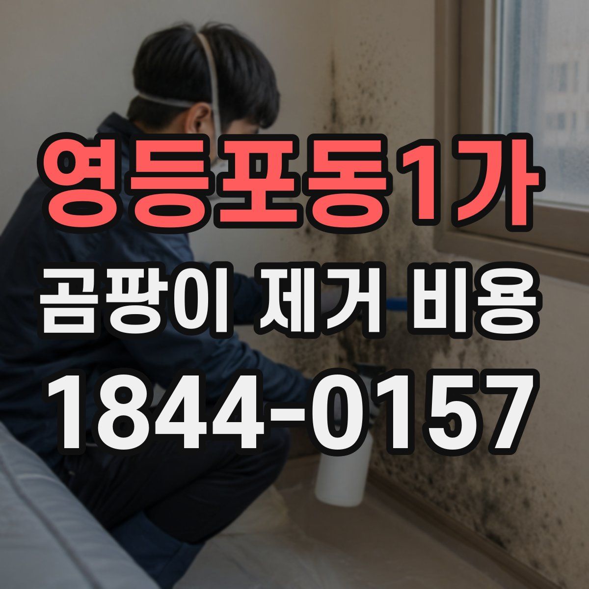 영등포동1가 곰팡이 제거 비용