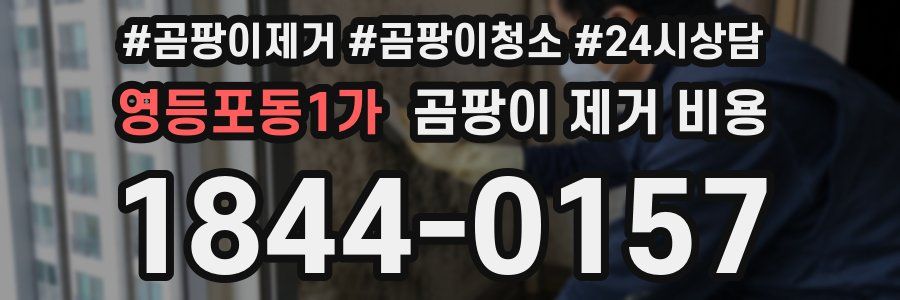 영등포동1가 곰팡이 제거 비용
