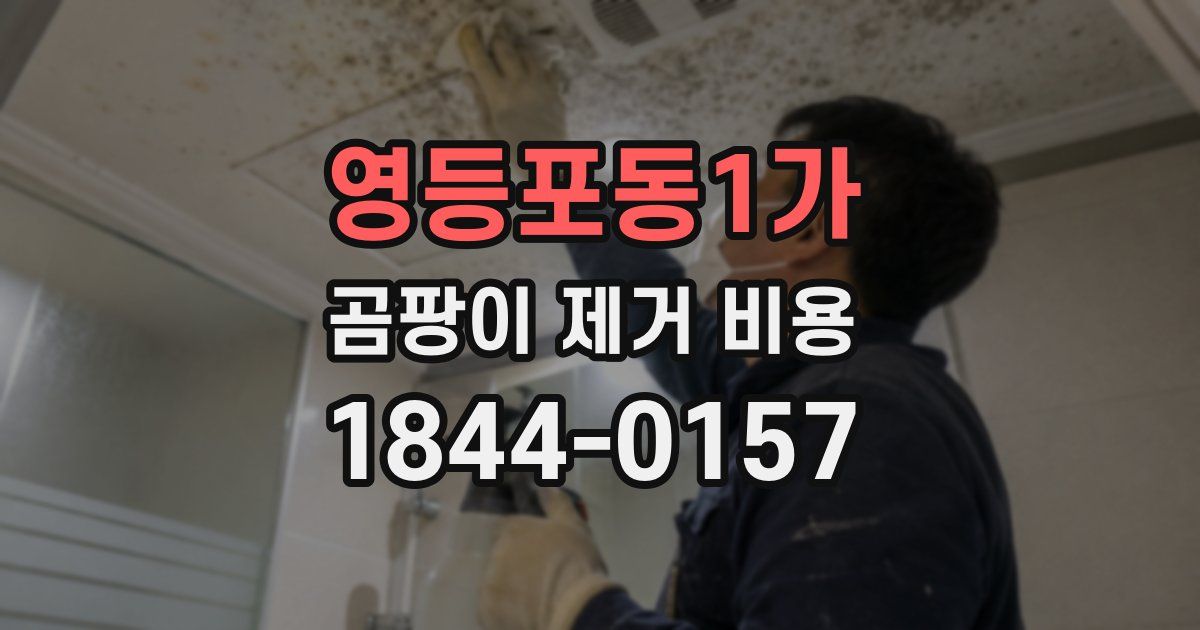 영등포동1가 곰팡이 제거 비용