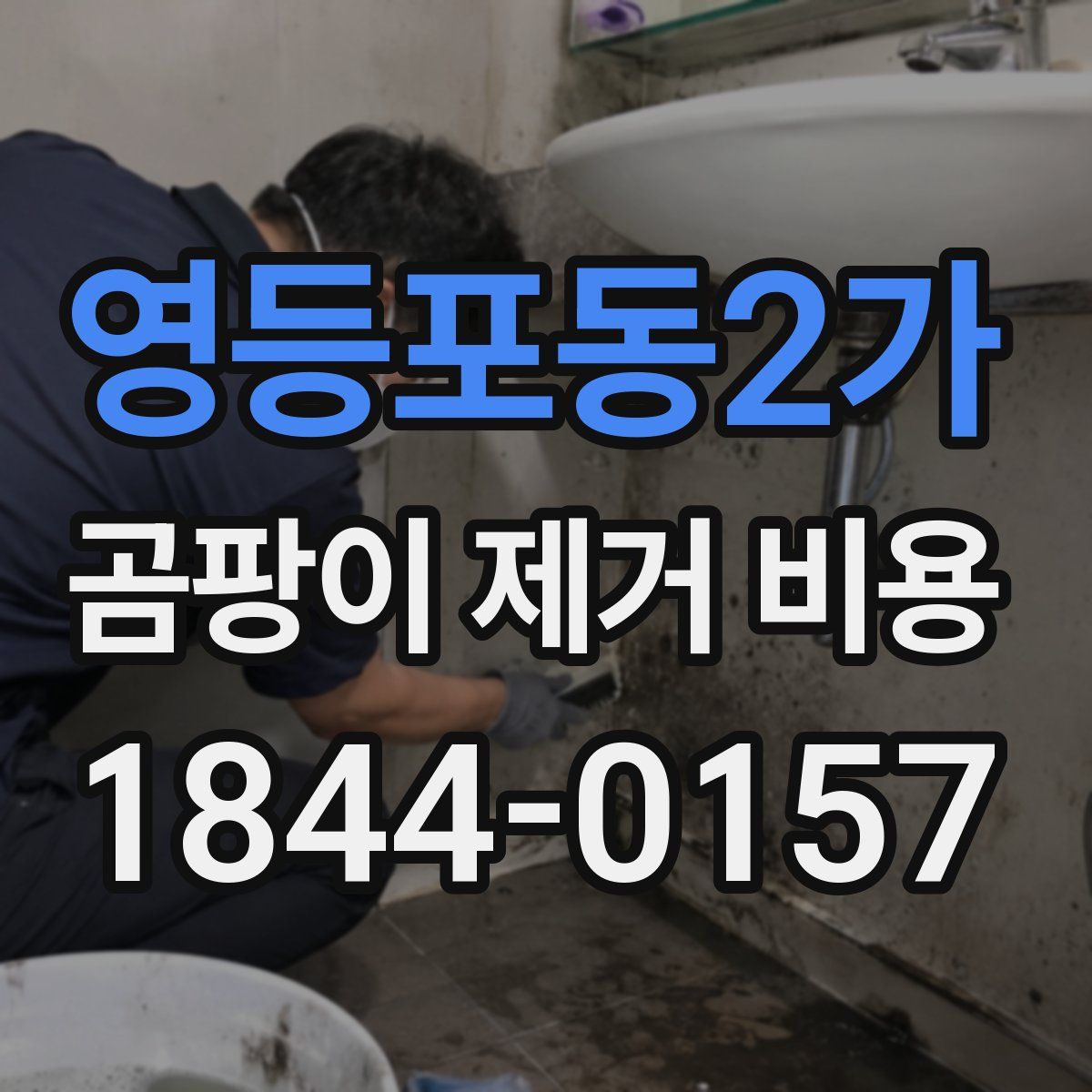 영등포동2가 곰팡이 제거 비용
