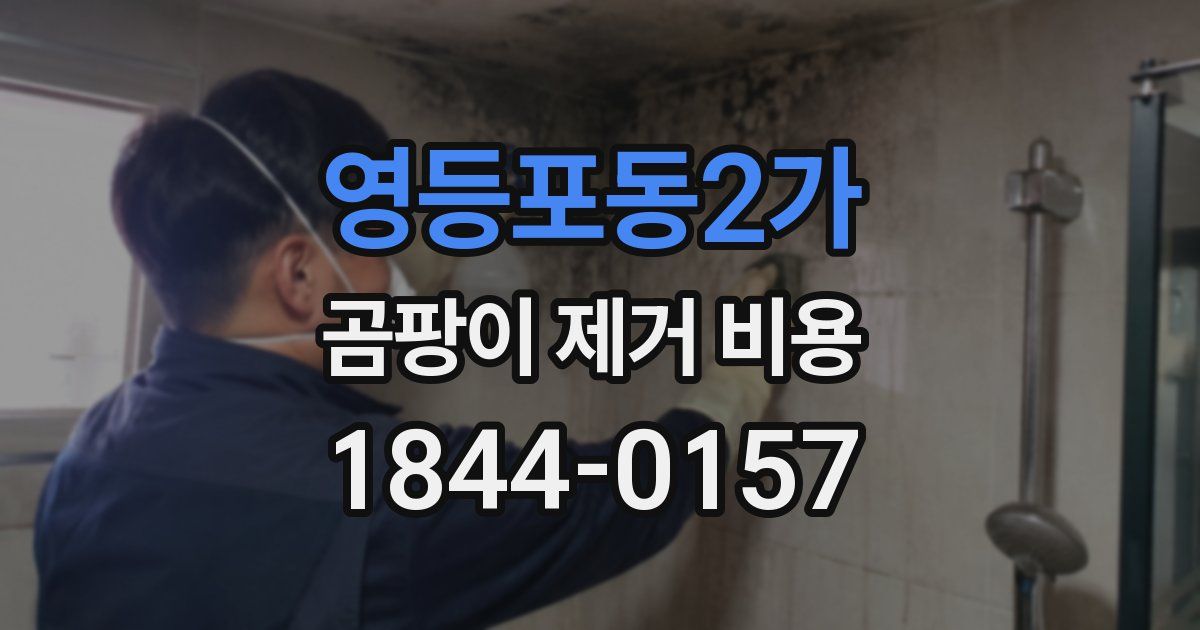 영등포동2가 곰팡이 제거 비용