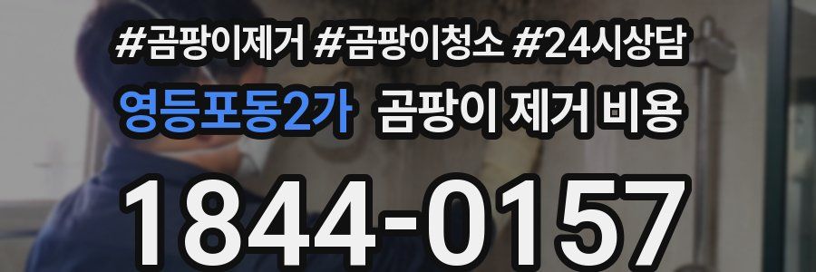 영등포동2가 곰팡이 제거 비용