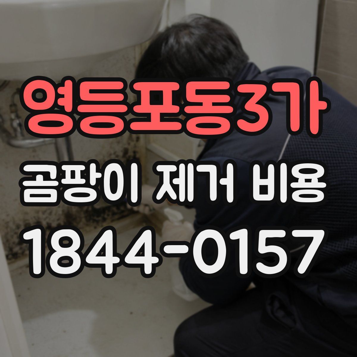 영등포동3가 곰팡이 제거 비용