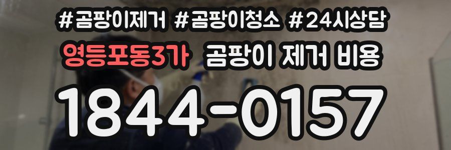영등포동3가 곰팡이 제거 비용