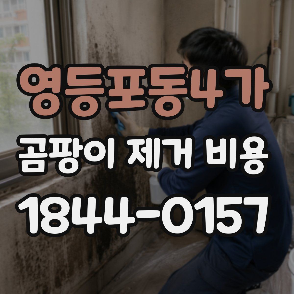 영등포동4가 곰팡이 제거 비용 오염 면적과 작업 범위를 함께 따져보는 법