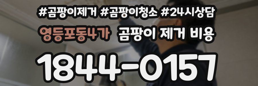 영등포동4가 곰팡이 제거 비용