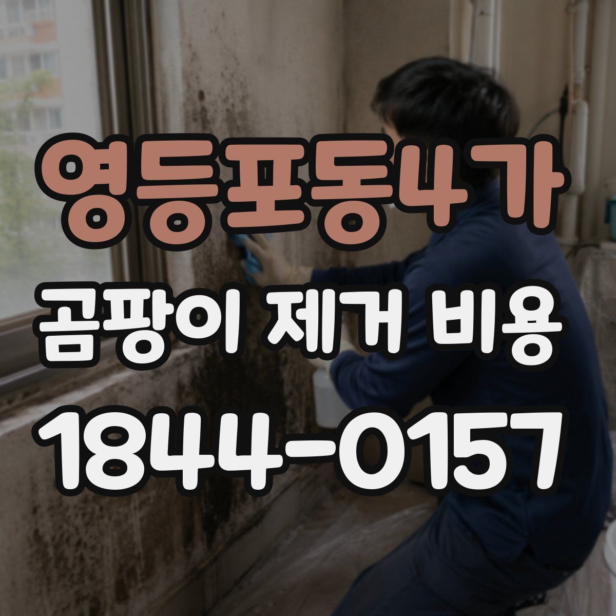 영등포동4가 곰팡이 제거 비용