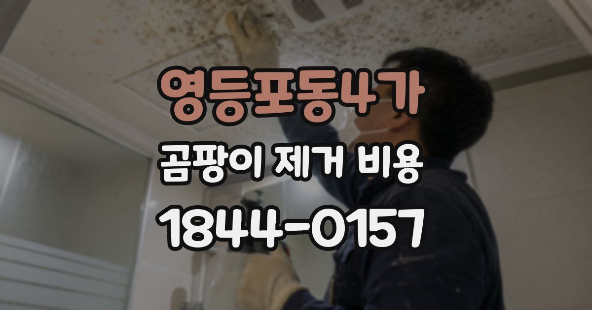 영등포동4가 곰팡이 제거 비용