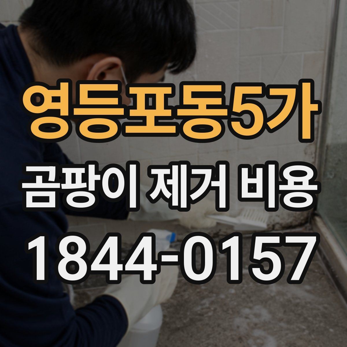 영등포동5가 곰팡이 제거 비용 냄새 처리와 함께 볼 때 달라지는 항목
