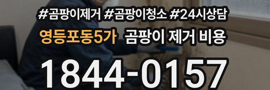 영등포동5가 곰팡이 제거 비용