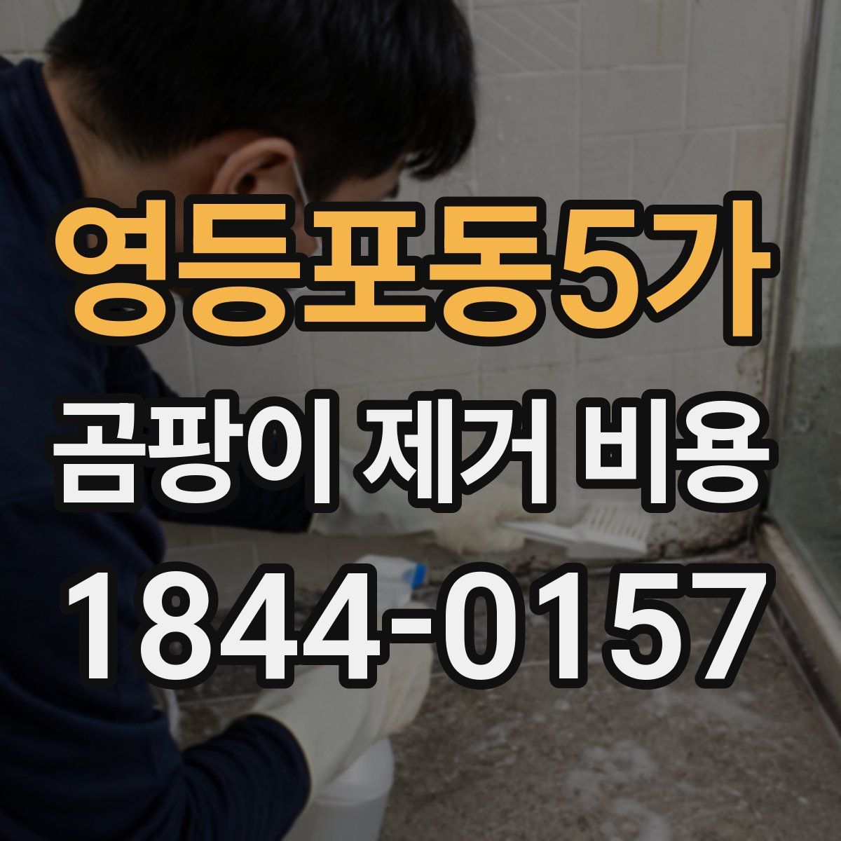 영등포동5가 곰팡이 제거 비용