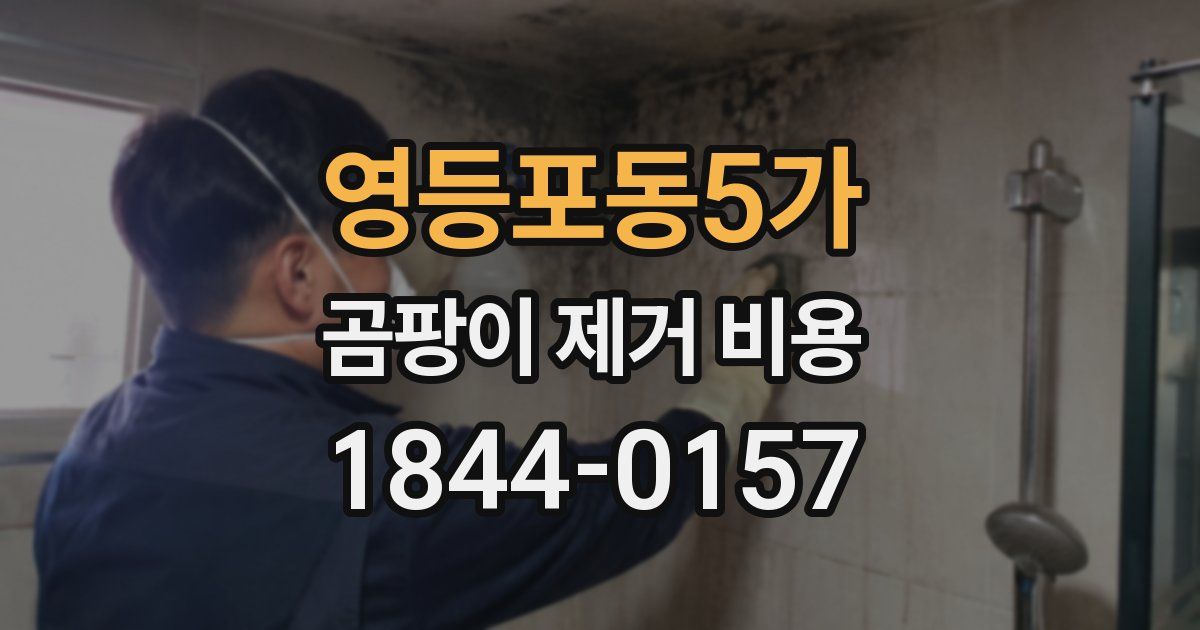 영등포동5가 곰팡이 제거 비용