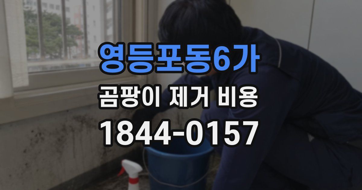 영등포동6가 곰팡이 제거 비용