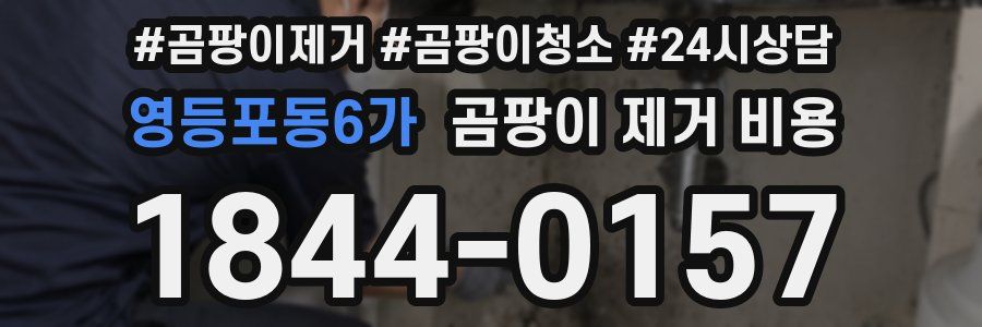 영등포동6가 곰팡이 제거 비용