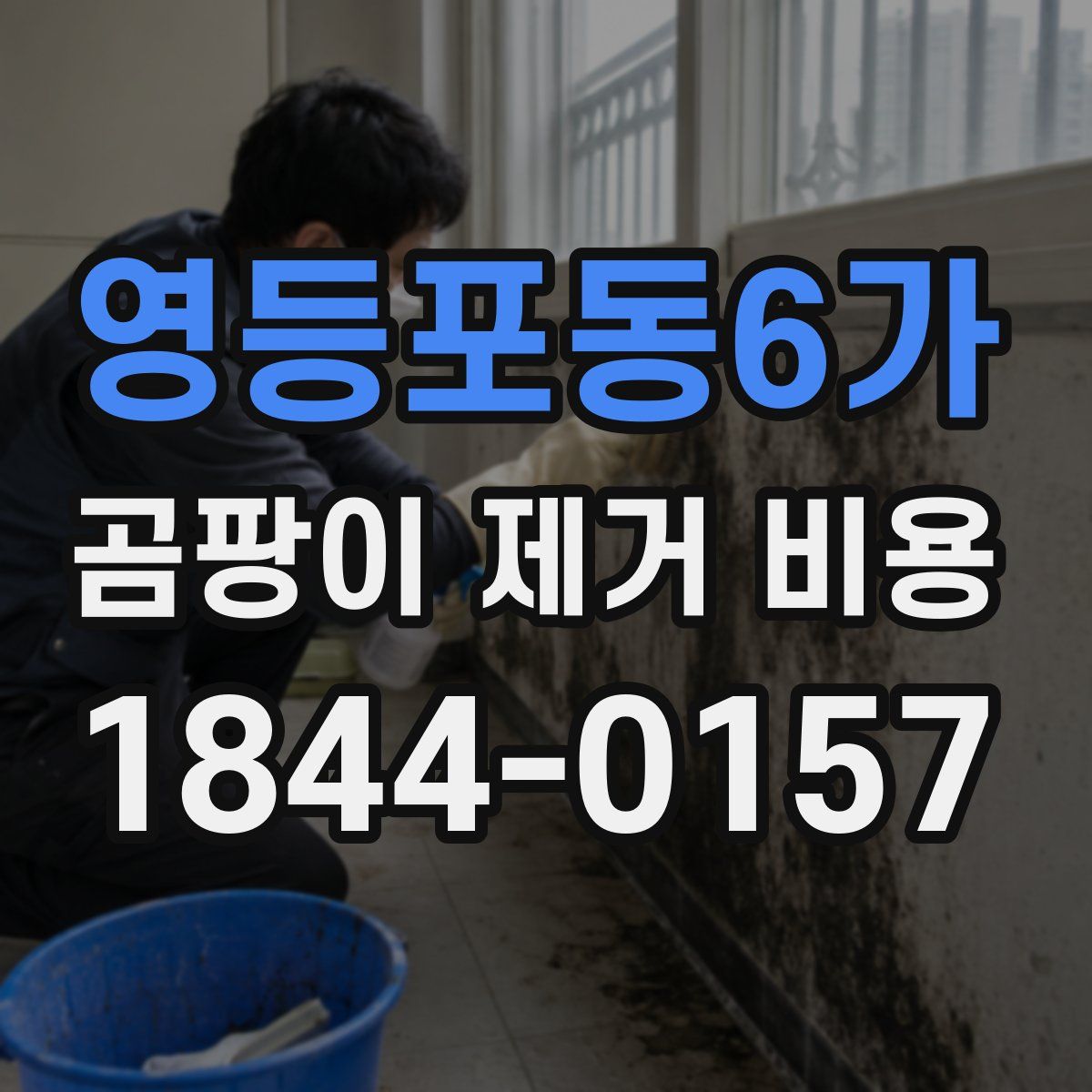 영등포동6가 곰팡이 제거 비용