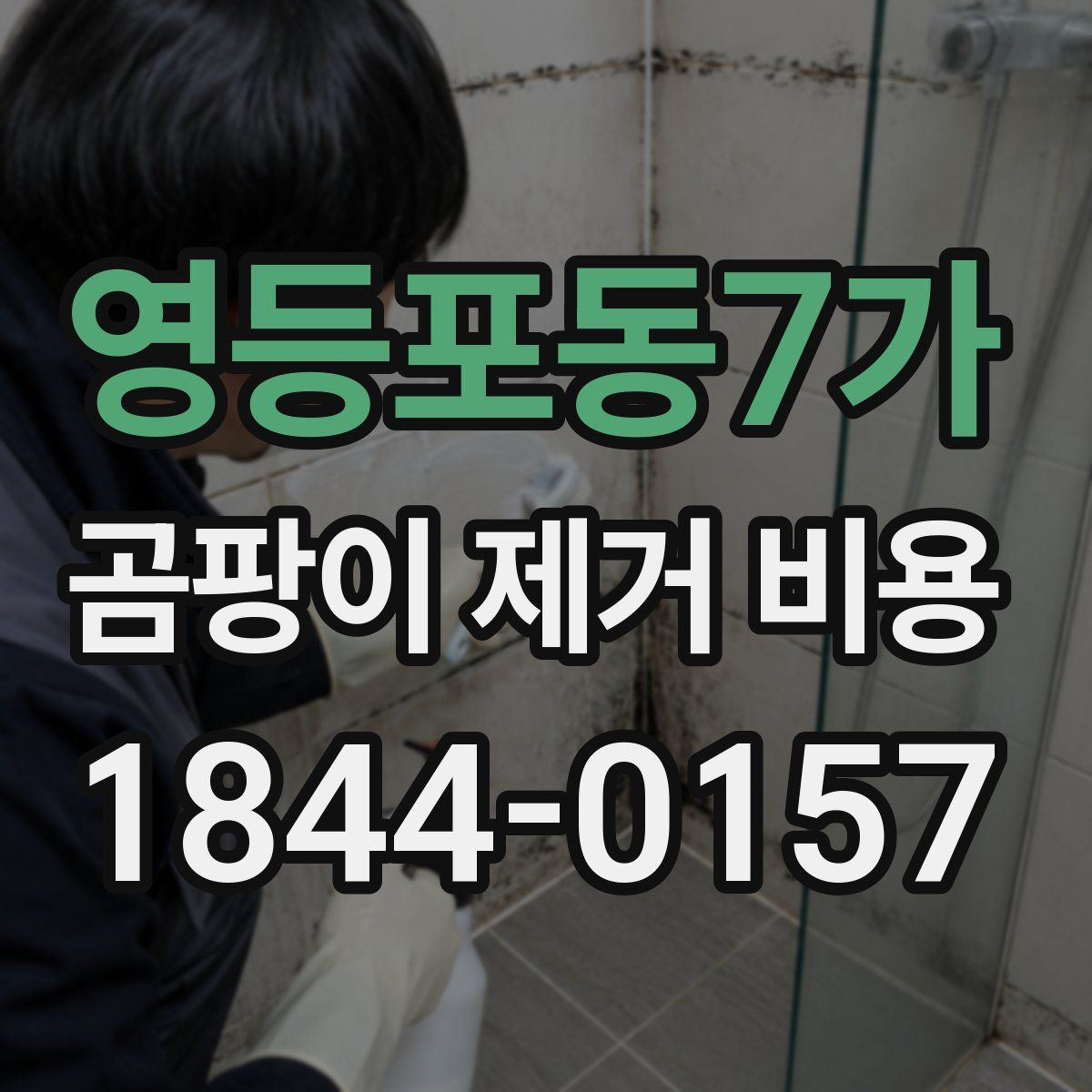 영등포동7가 곰팡이 제거 비용