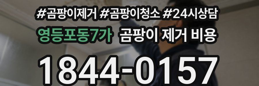 영등포동7가 곰팡이 제거 비용