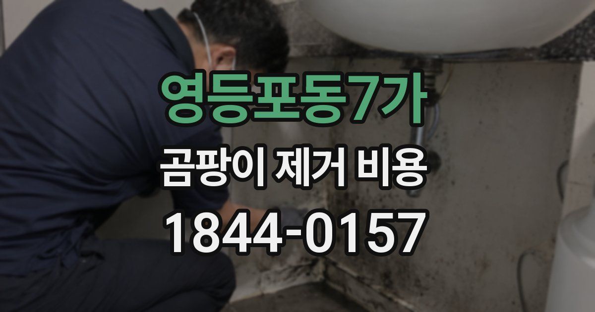 영등포동7가 곰팡이 제거 비용