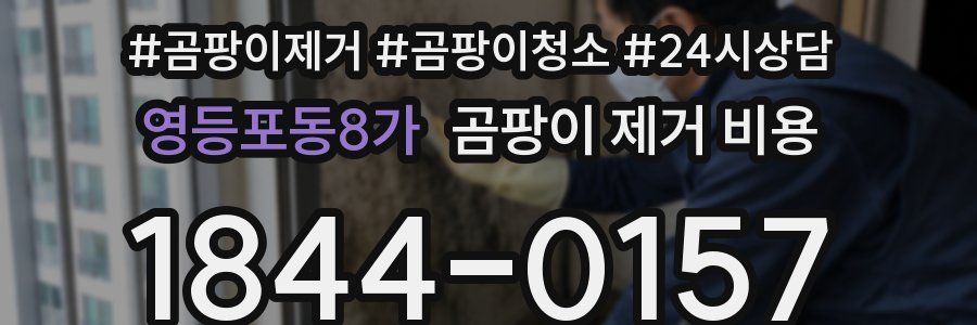 영등포동8가 곰팡이 제거 비용