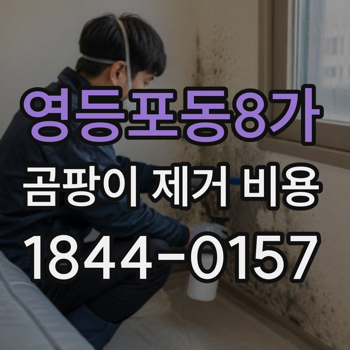 영등포동8가 곰팡이 제거 비용