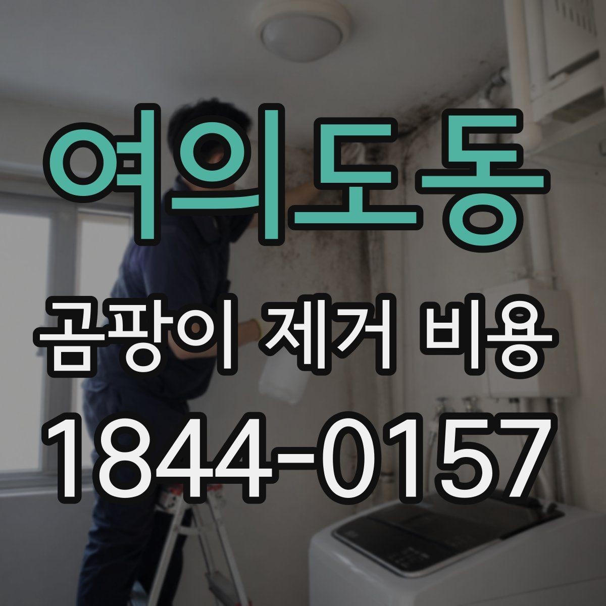 여의도동 곰팡이 제거 비용 부분 보수로 가능한 현장과 차이