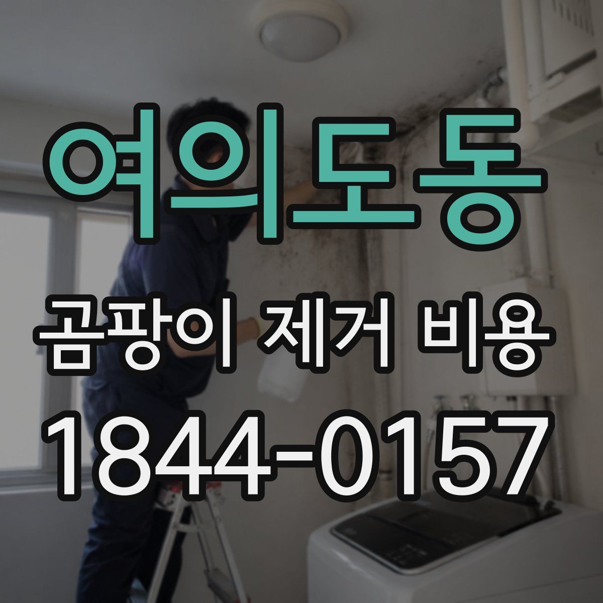 여의도동 곰팡이 제거 비용