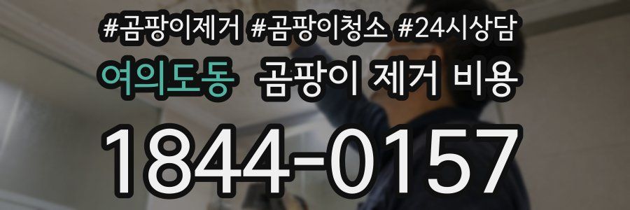 여의도동 곰팡이 제거 비용