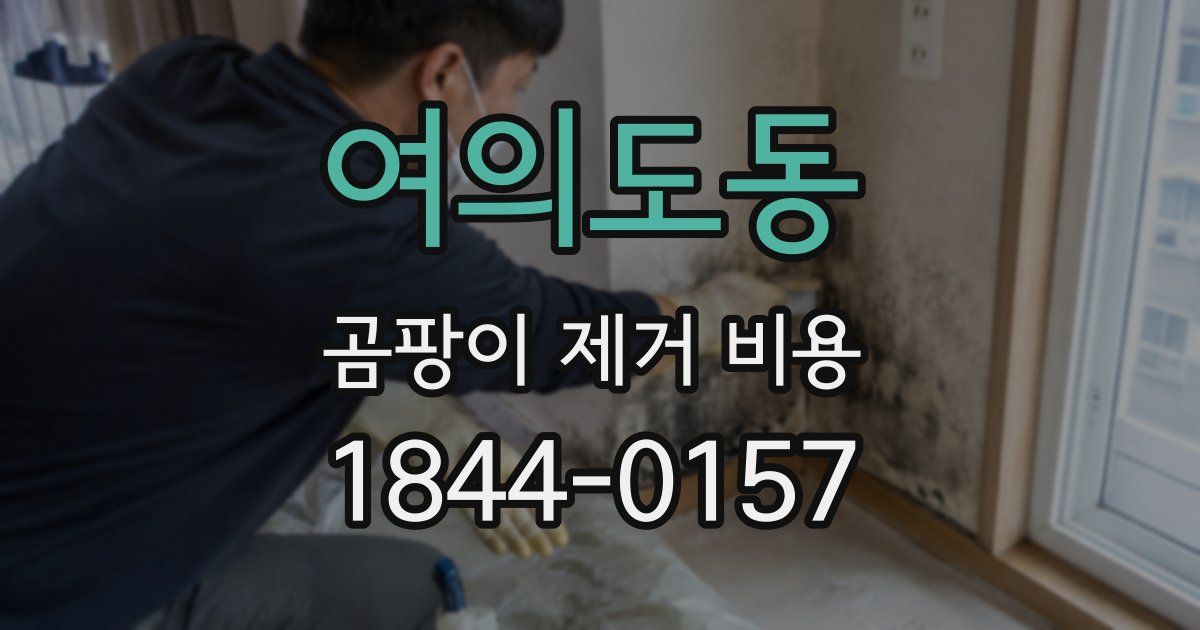 여의도동 곰팡이 제거 비용