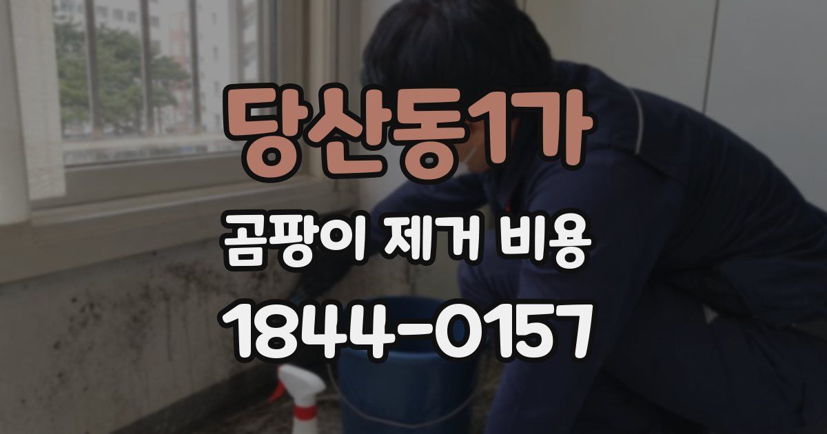 당산동1가 곰팡이 제거 비용