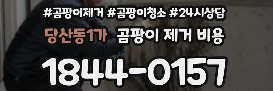 당산동1가 곰팡이 제거 비용