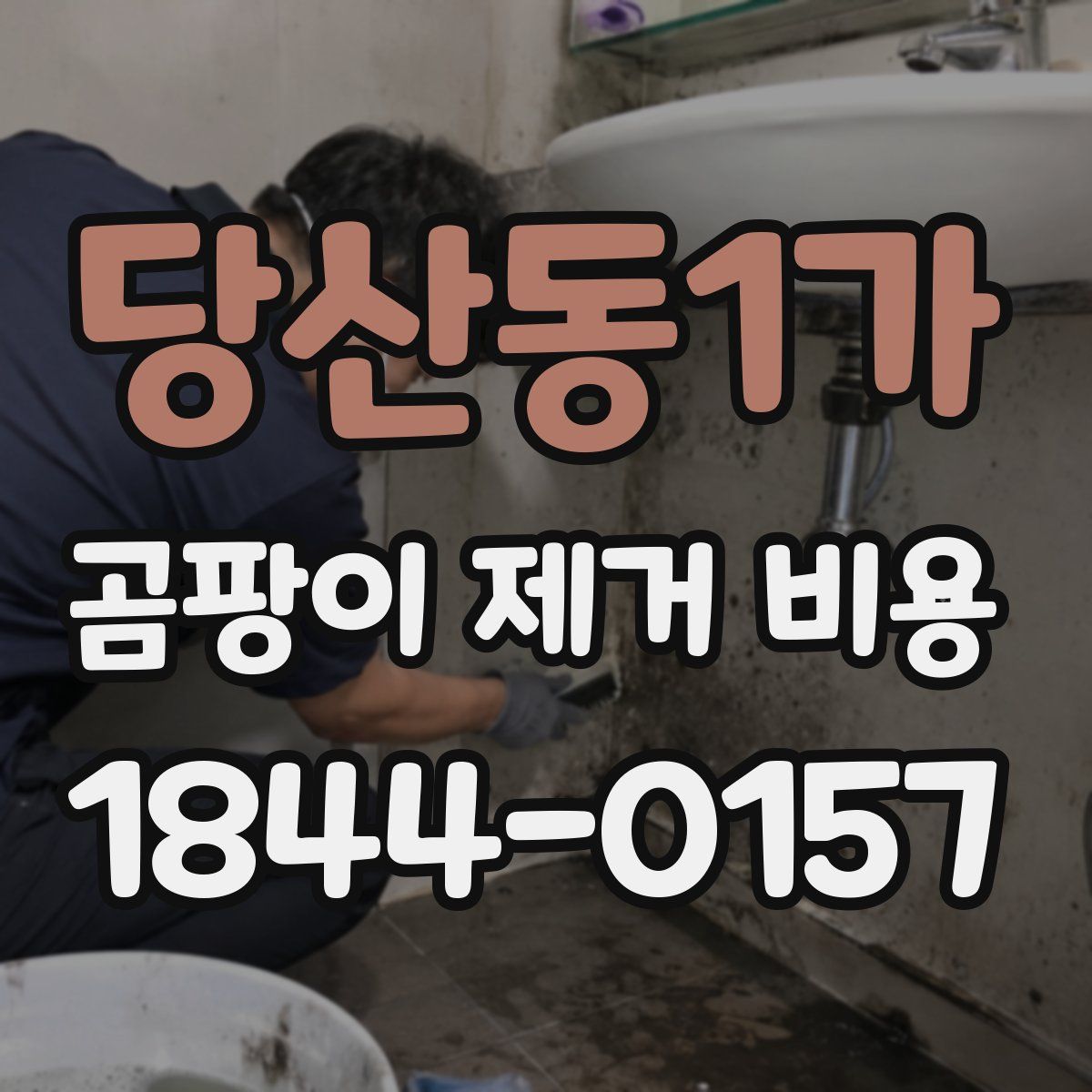 당산동1가 곰팡이 제거 비용