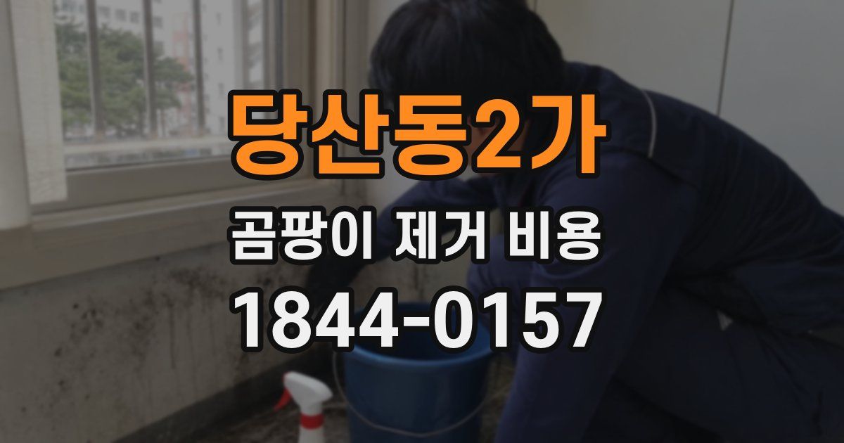 당산동2가 곰팡이 제거 비용