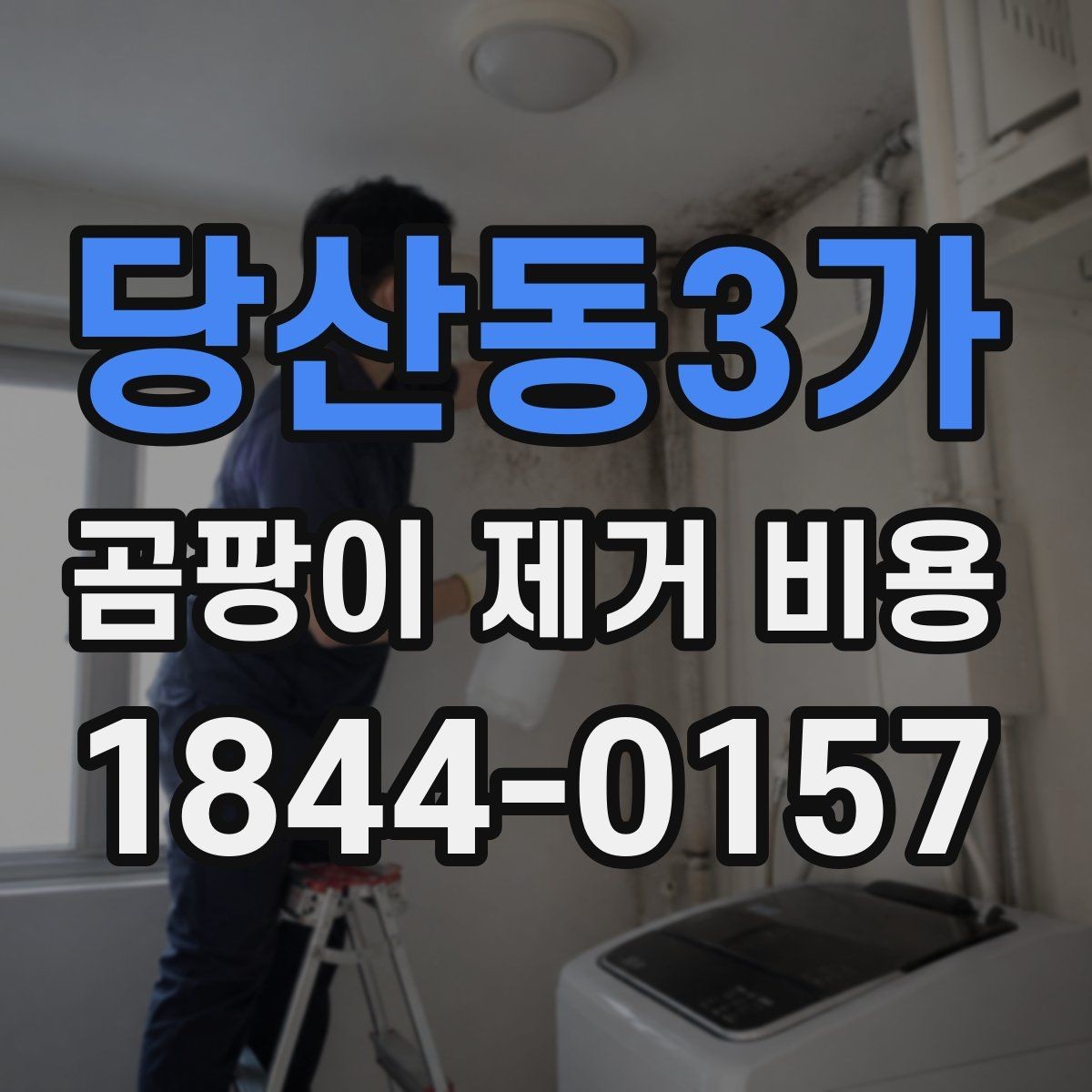당산동3가 곰팡이 제거 비용 다세대 건물에서 민원 적게 진행하는 법