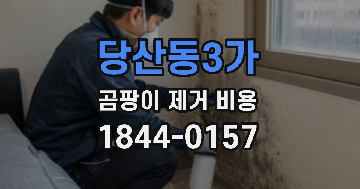 당산동3가 곰팡이 제거 비용