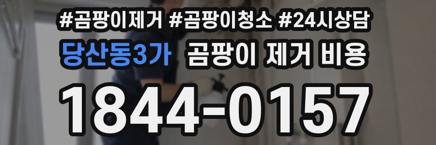 당산동3가 곰팡이 제거 비용