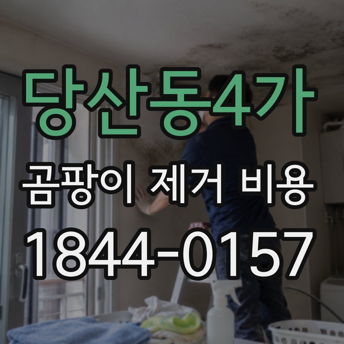 당산동4가 곰팡이 제거 비용 배관 주변 처리 범위가 넓어질 때