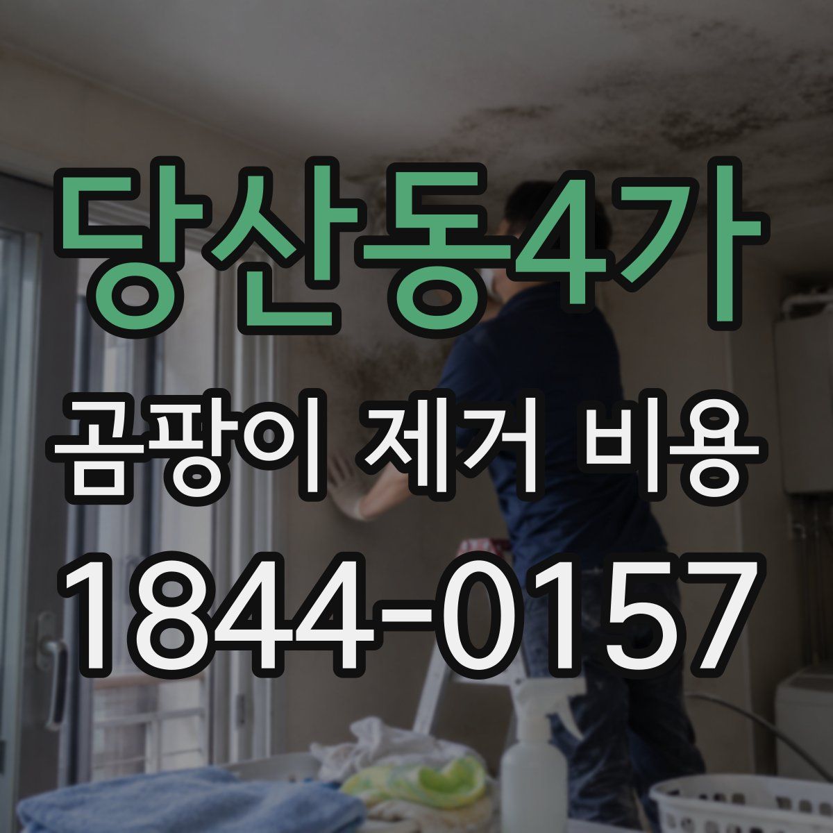 당산동4가 곰팡이 제거 비용