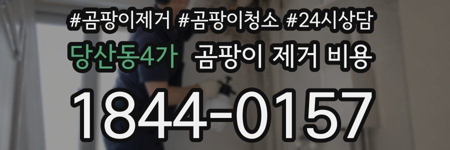 당산동4가 곰팡이 제거 비용